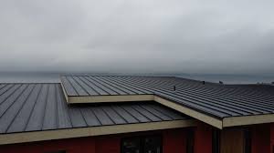 Best Green or Eco-Friendly Roofing Solutions  in Putnam Lake, NY